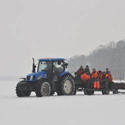 Battue polonaise/Polowanie zbiorowe w Polsce