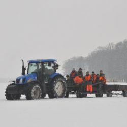 Battue polonaise/Polowanie zbiorowe w Polsce